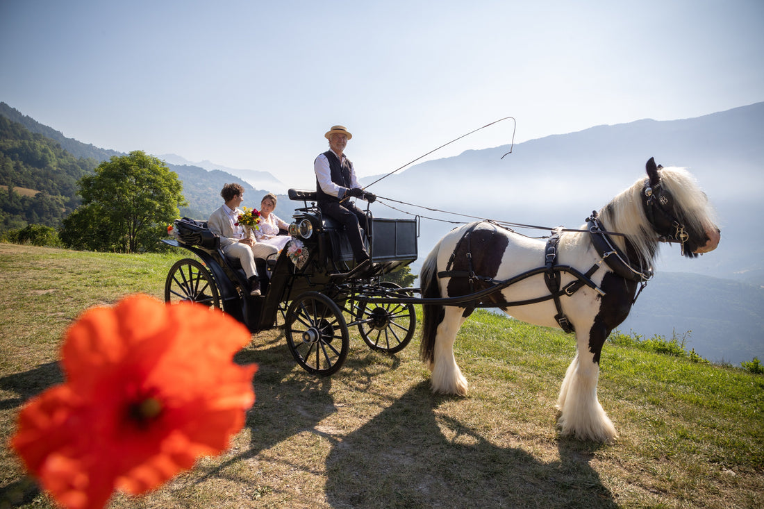 5 Arrivées Originales de la Mariée à La Ferme des Écrins